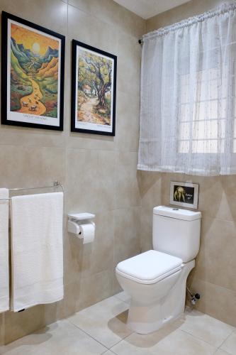 s3-toilet